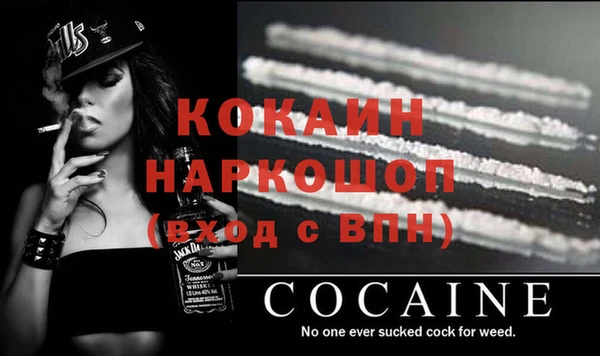 гашик Балахна