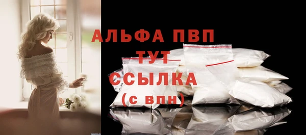 гашик Балахна