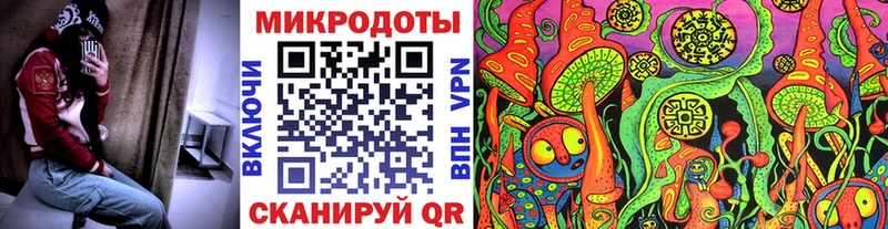 Галлюциногенные грибы Cubensis Дальнегорск