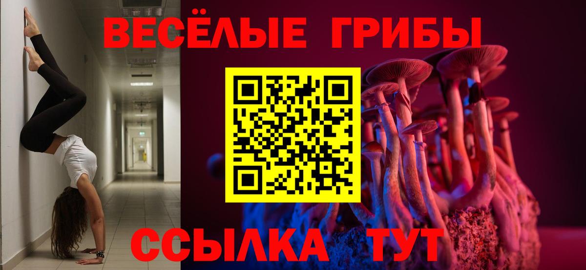 Дальнегорск  Псилоцибиновые грибы мицелий  Вход с VPN 